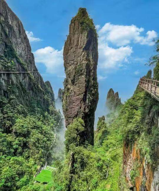 郴州租車(chē)47座